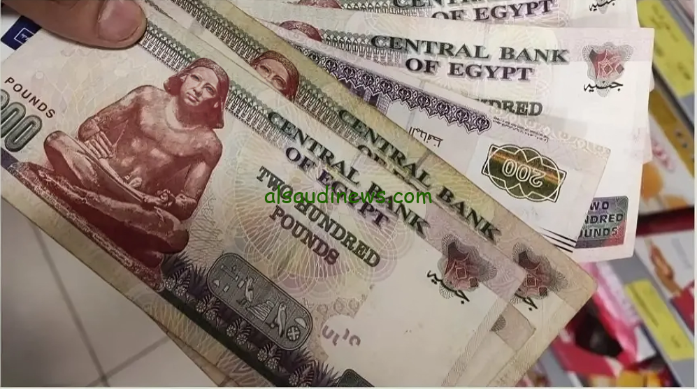 مواعيد صرف معاشات شهر ديسمبر 2024 حسب هيئة التأمينات الاجتماعية وطريقة الاستعلام عنه عبر nosi.gov.eg
