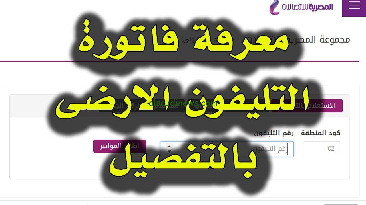الاستعلام عن فاتورة المصرية للاتصالات الارضي عبر te.eg 2024 والفئات المعفاه من دفع الفاتورة