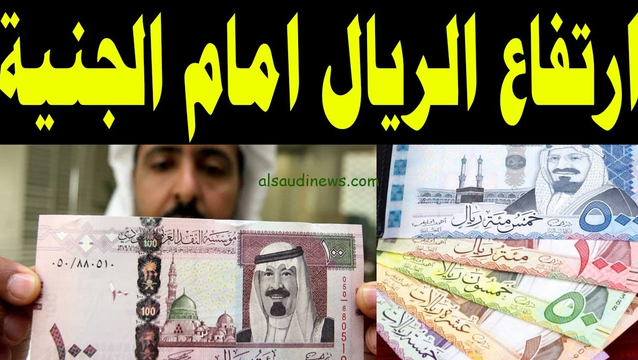 “كم يساوي ١ريال سعودي بالجنيه؟” سعر الريال السعودي في السوق السوداء اليوم الثلاثاء 26 نوفمبر 2024 مقابل الجنية المصري وفقا لأخر تبادلات