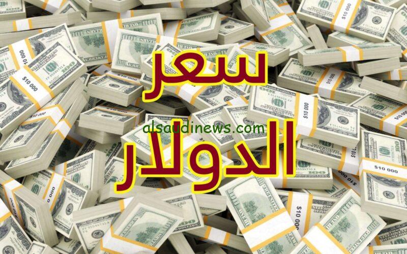 استقرار جديد في Us .. سعر الدولار في السوق السوداء اليوم السبت 30 نوفمبر 2024 امام الجنية المصري