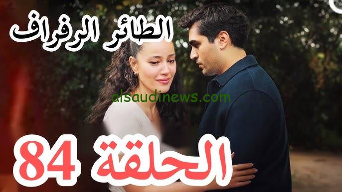 فريد هيتجوز سيران ولا ديار؟ مسلسل الطائر الرفراف الحلقة 84 الموسم الثالث 2024 موعد العرض والقنوات الناقلة