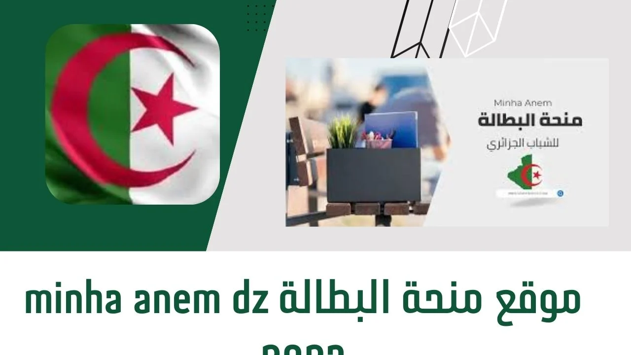 منحة البطالة 2024 في الجزائر: التفاصيل والشروط وكيفية التسجيل