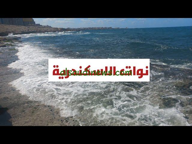 وفقا لهيئة الارصاد… موعد نوة الاسكندرية في يناير وفبراير وباقي المكنسة 2025