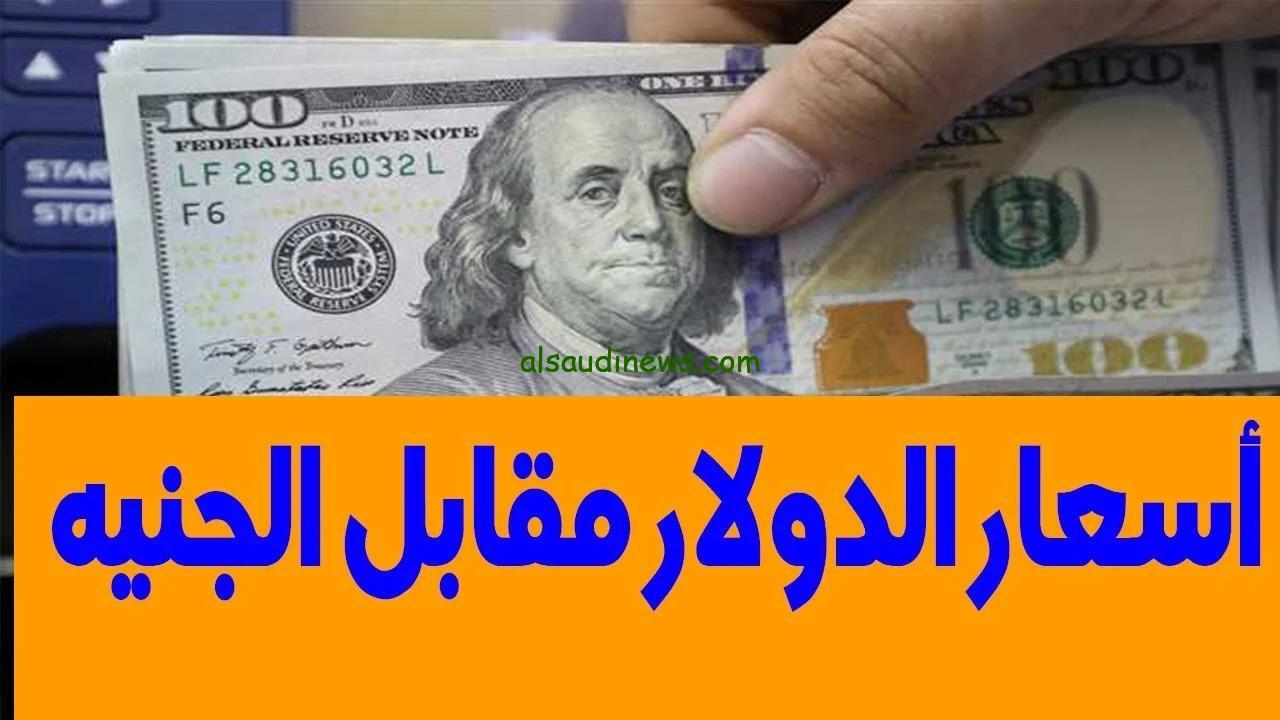 1 دولار كم جنيه مصري في السوق السوداء؟ سعر الدولار اليوم الأحد 8 ديسمبر 2024 في البنوك