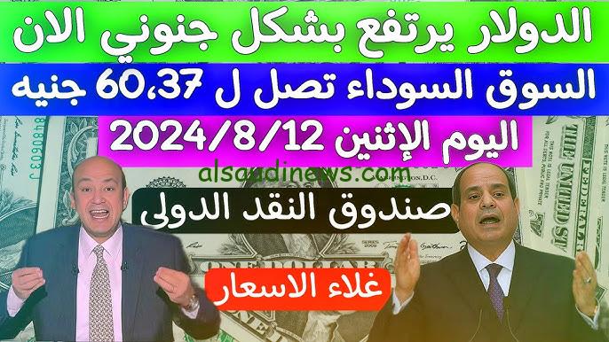 “زيادة فلكية للدولار” أسعار العملات الأجنبية في السوق السوداء اليوم الأحد 8 ديسمبر 2024 مقابل الجنيه في مصر