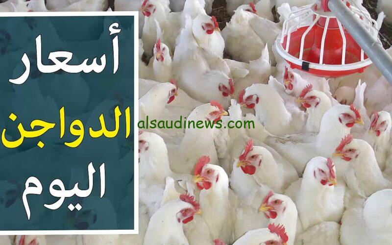 بورصة الدواجن اليوم أسعار الفراخ البيضاء الخميس 12 ديسمبر 2024