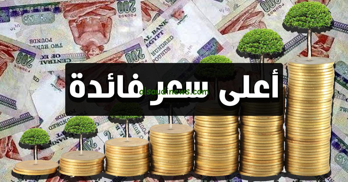 أسعار فائدة شهادات ادخار البنك الأهلي المصري لشهر ديسمبر 2024 بحد ادني للشراء 1000 جنيه
