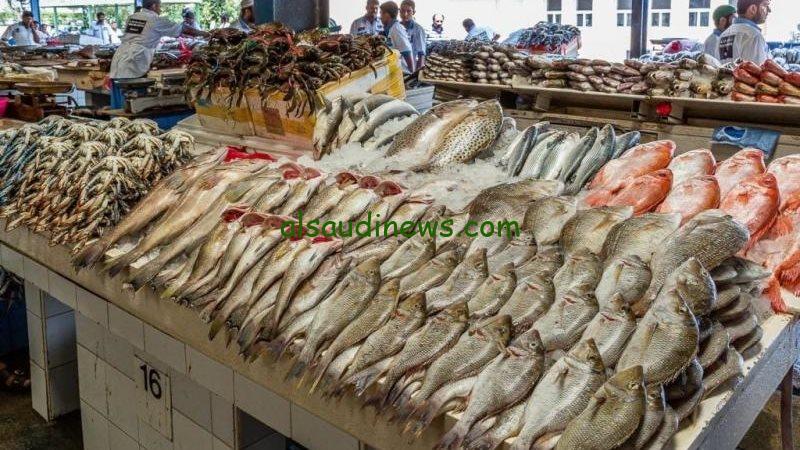 بــ245 الدنيس | ننشر قائمة اسعار السمك اليوم البلطي الأحد 29 ديسمبر 2024 أسعار الأسماك بـ سوق العبور