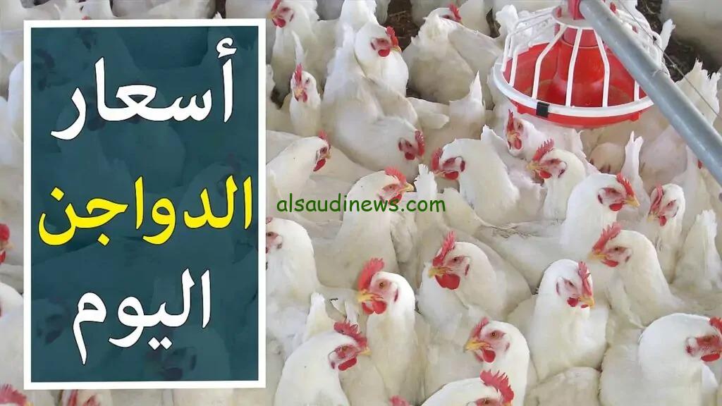 اعرف الكيلو بكام ؟.. أسعار الفراخ البيضاء في بورصة الدواجن اليوم السبت 21-12-2024 بالمزارع والاسواق