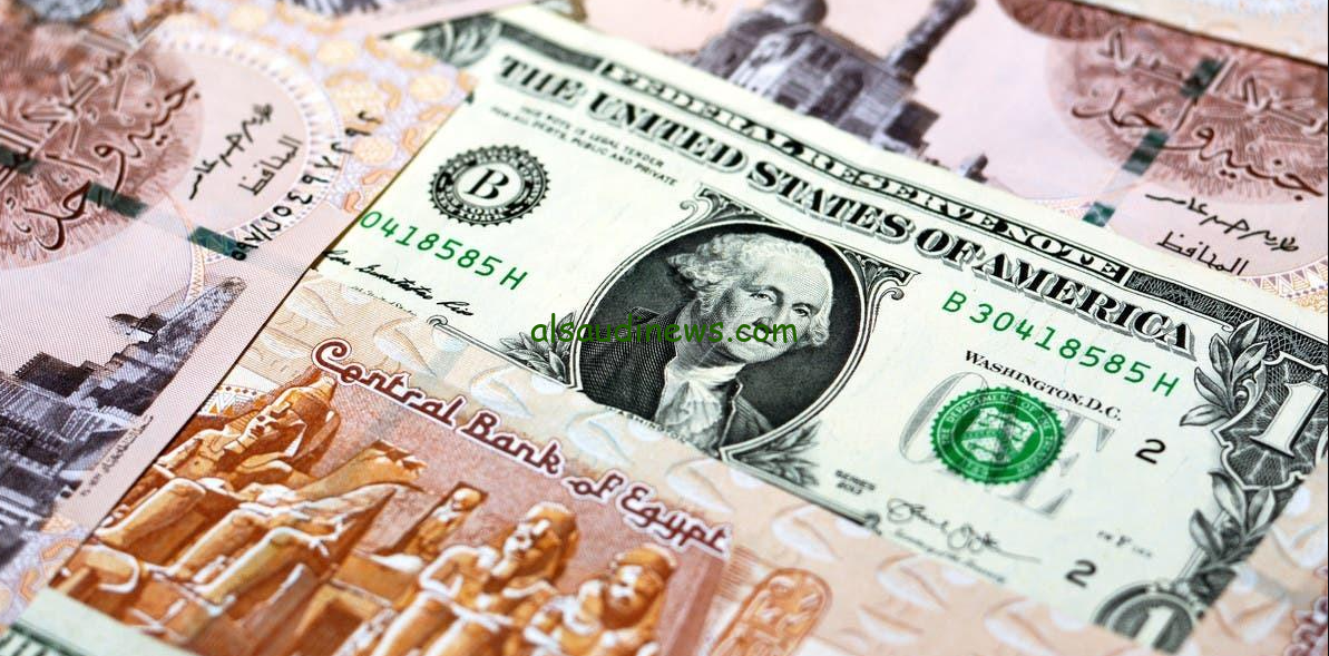 ” ارتفاع جديد USD ” اعلي سعر للدولار في السوق السوداء اليوم الثلاثاء 3 ديسمبر 2024 مقابل الجنية المصري