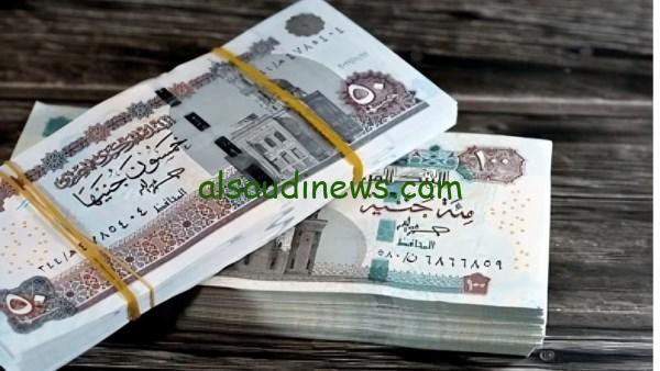 الحكومة تعلن زيادة المعاشات حتى 800 جنيه والصرف في يناير 2025 وطريقة الاستعلام عن المعاش