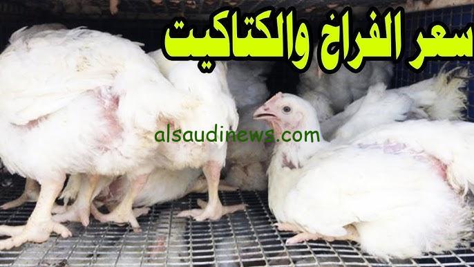 ”الكيلو وصل لــ 74 جنيه” بورصة الدواجن اليوم أسعار الفراخ البيضاء الخميس 12 ديسمبر 2024 وسعرها للمُستهلك
