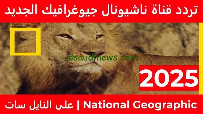 “ثبتها دلوقتي” تردد قناة ناشيونال جيوغرافيك National Geographic 2025 علي الأقمار الصناعية بجودة مميزة HD