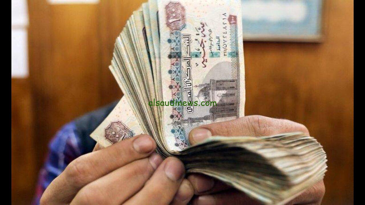 “بعد قرار التأمينات الأخير” زيادة معاشات شهر يناير 2025 وطريقة حساب المعاشات عبر الموقع الرسمي nosi.gov.eg
