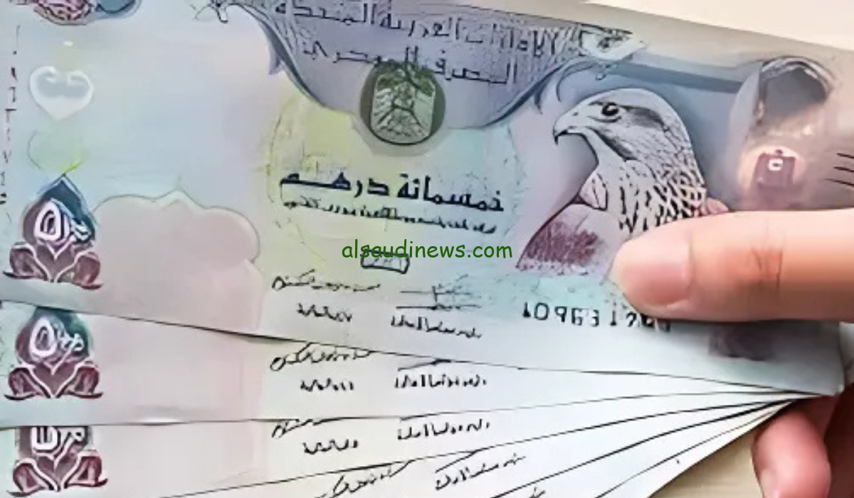 “الاماراتي رايح علي فين” سعر الدرهم الاماراتي اليوم مقابل الجنيه المصري الأحد 15 ديسمبر 2024 وفقاً لأخر تحديثات البنوك