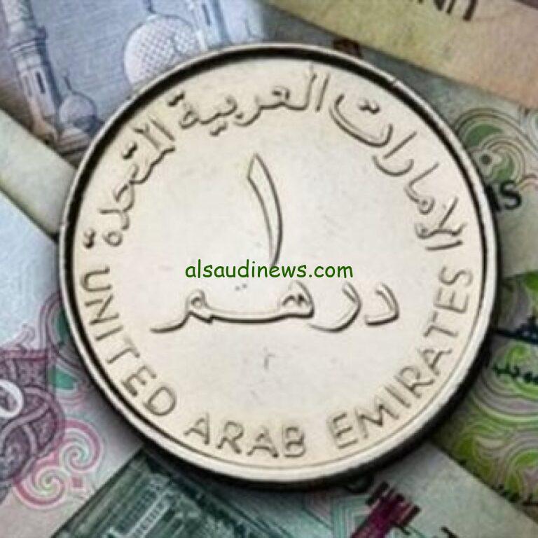 سعر الدرهم الإماراتي اليوم مقابل الجنيه المصري السبت 21 ديسمبر 2024 وفقا لآخر تحديثات البنوك