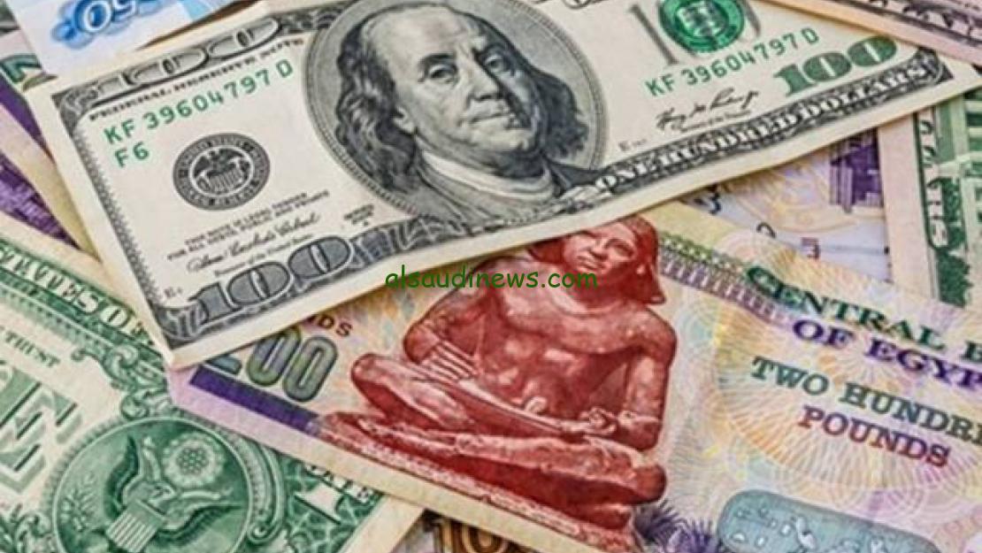 استقرار سعر الدولار أمام الجنيه المصري اليوم السبت 21 ديسمبر 2024 في البنوك وأسعار العملات