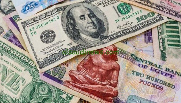 الدولار لايف .. سعر الدولار اليوم في السوق السوداء 4 ديسمبر 2024 وسعر الصرف في جميع البنوك