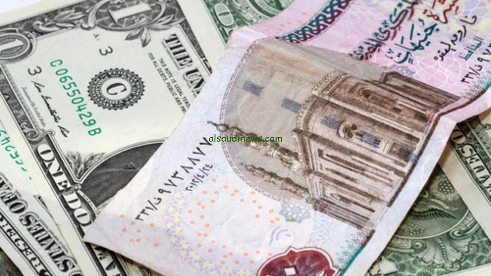 500 دولار = كم جنيه مصري فى السوق السوداء؟.. سعر الدولار اليوم مقابل الجنية المصري فى كافة البنوك المصرية