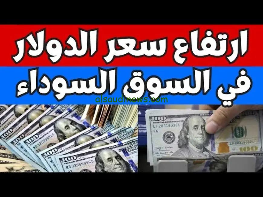 كام سعر تحويل 100 دولار في السوق السوداء؟ .. سعر الدولار اليوم مقابل الجنية فى جميع البنوك المصرية