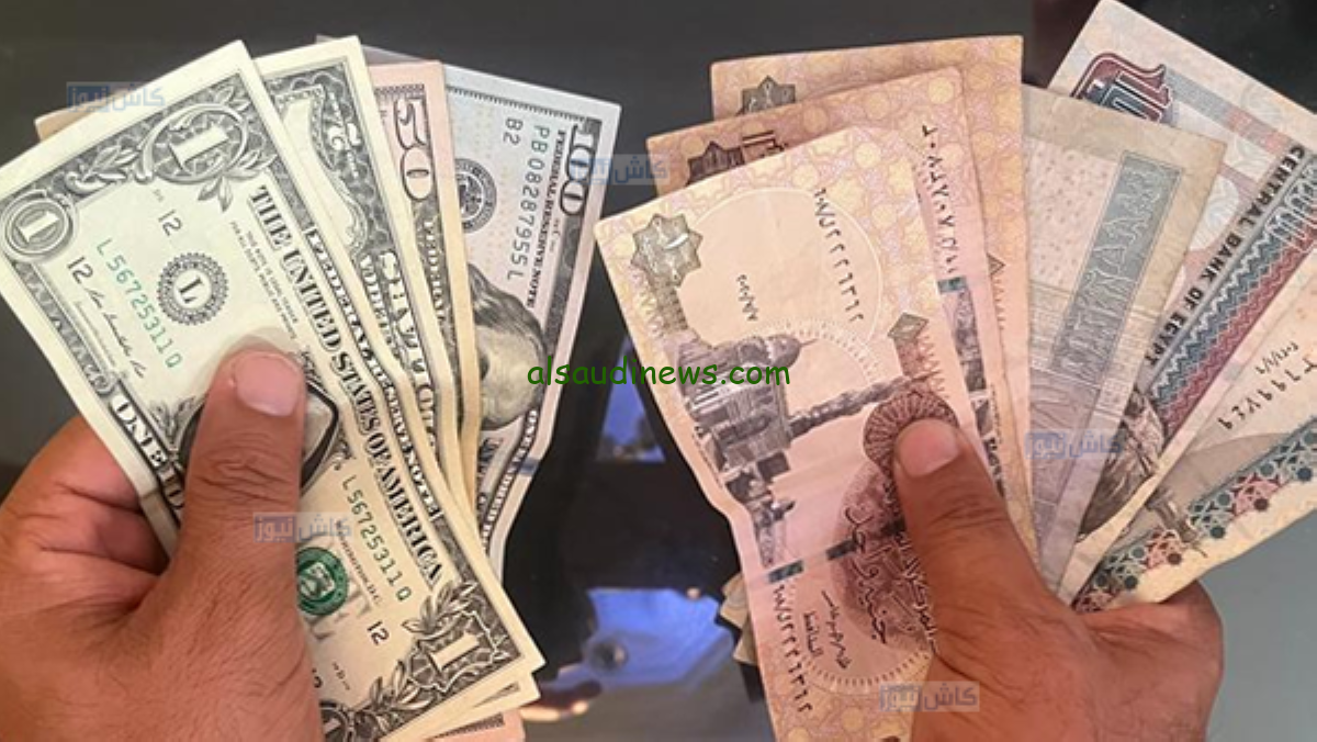“البنك المركزي وصل لكام” سعر الدولار اليوم مقابل الجنيه المصري السبت 7-12-2024 في البنوك المصرية و السوق السوداء