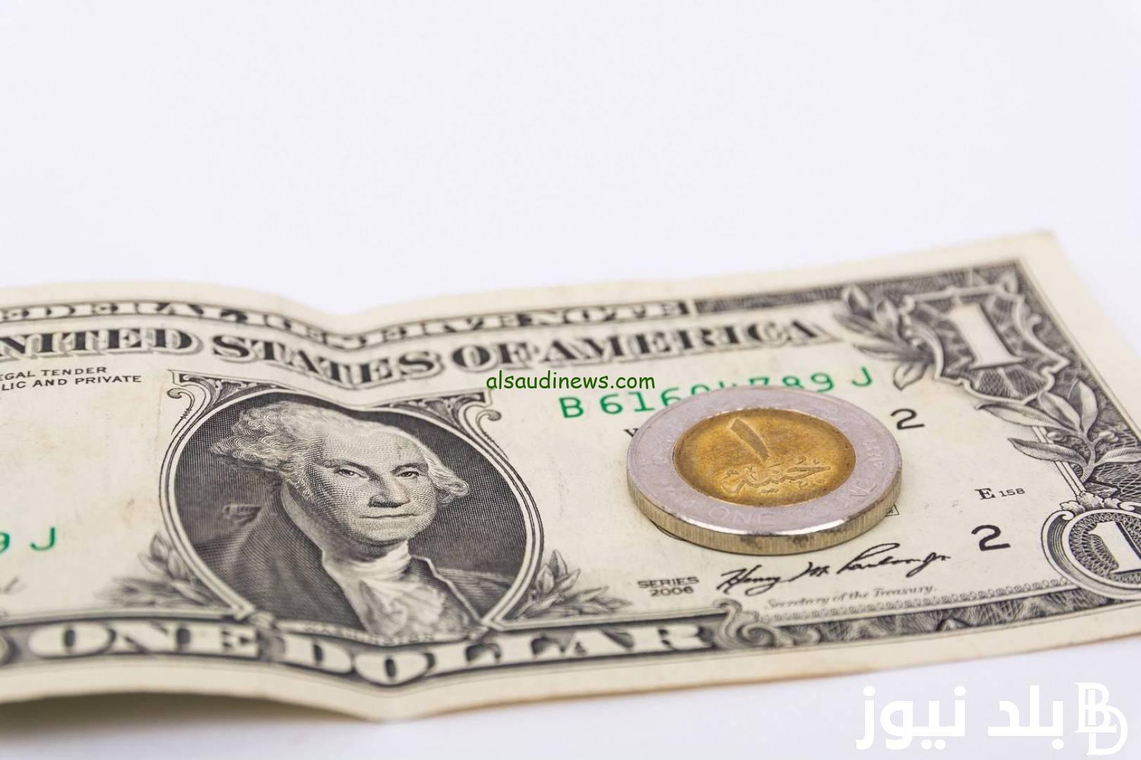 1000 دولار بكام جنية مصري؟ .. سعر الدولار في السوق السوداء اليوم الاحد 8 ديسمبر 2024 في مصر