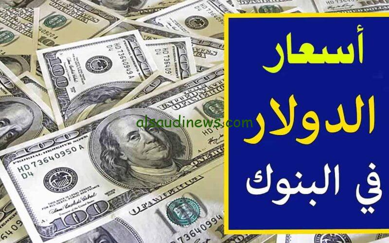 ” الأخضر في العالي” سعر الدولار في السوق السوداء اليوم الثلاثاء 10 ديسمبر 2024 وفي البنوك المصرية