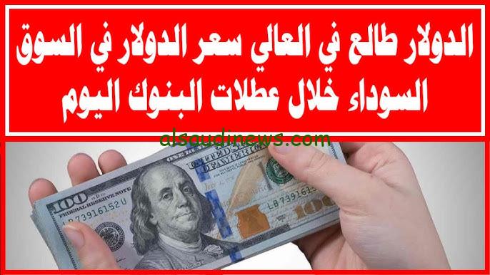 سعر الدولار في السوق السوداء اليوم الخميس 5 / 12 / 2024 .. الأخضر يواصل الأرتفاع ويكسر الـ 50 جنية