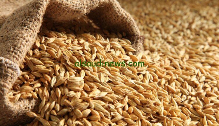 “الحبة الرفيعة بكام”… سعر طن الأرز الشعير اليوم السبت 21 ديسمبر 2024 للمستهلك وأسعار السلع الغذائية
