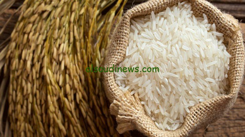 الكيلو وصل لـــ34 جنيه| سعر طن الأرز الشعير اليوم الخميس 19 ديسمبر 2024 في الأسواق