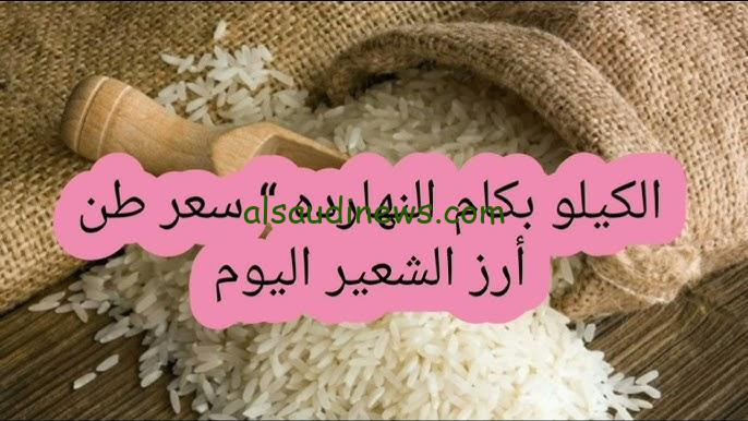 الحقي خزني| سعر طن الأرز الشعير اليوم السبت 21 ديسمبر 2024 في الأسواق المحلية