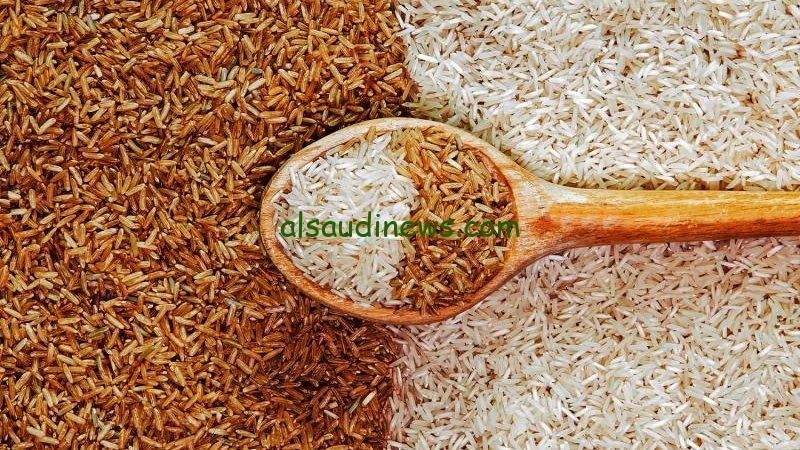 “الشعير وصل كام؟” سعر طن الأرز الشعير اليوم في الأسواق الإثنين 9 ديسمبر 2024
