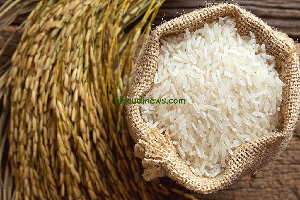 “الكيلو بكام النهاردة” سعر طن الأرز الشعير اليوم الاحد 8 ديسمبر 2024 في الأسواق المصرية