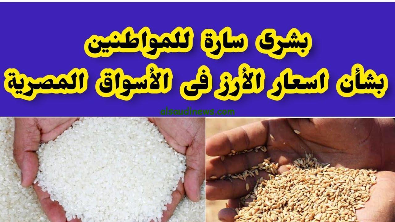 “كسر 5% عامل كام” سعر طن الأرز الشعير اليوم الثلاثاء 3 ديسمبر 2024 في كافة الأسواق المصرية