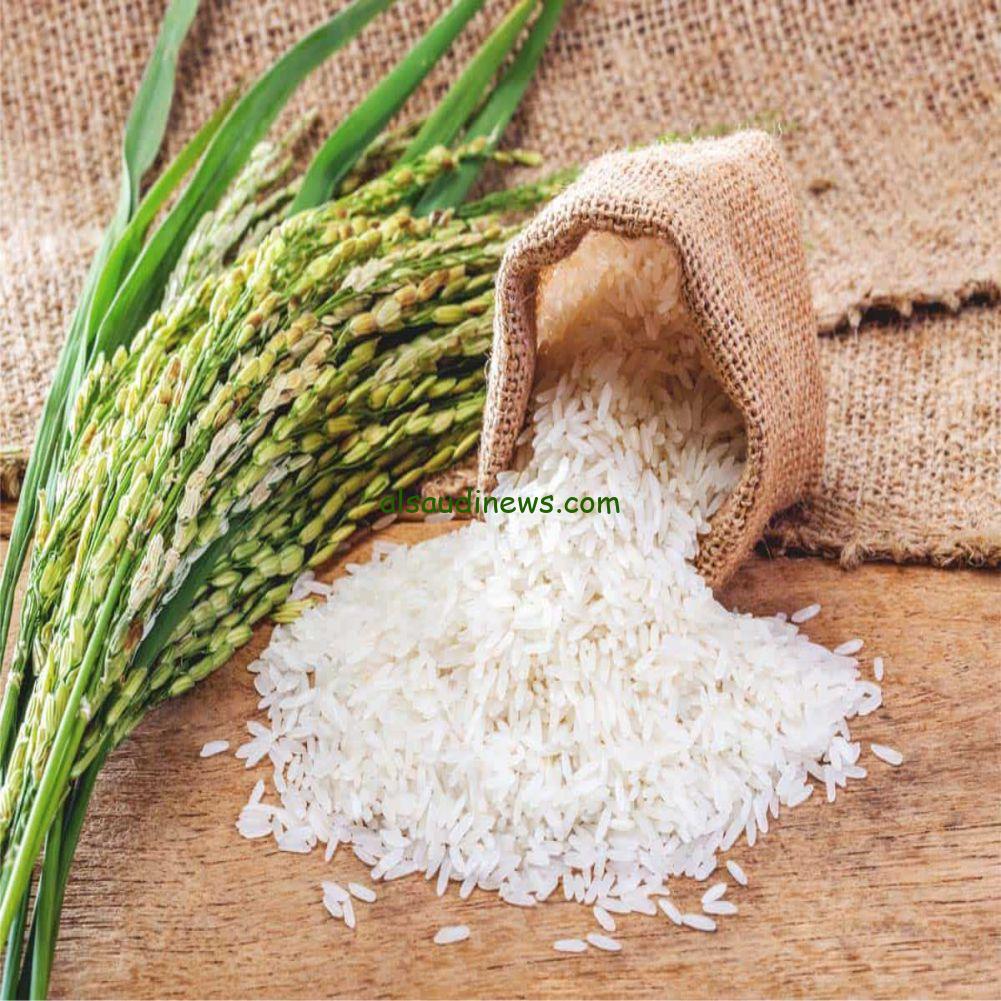 استقرار سعر طن الأرز الشعير اليوم الأربعاء 18 ديسمبر 2024 وأسعار السلع في الأسواق المصرية