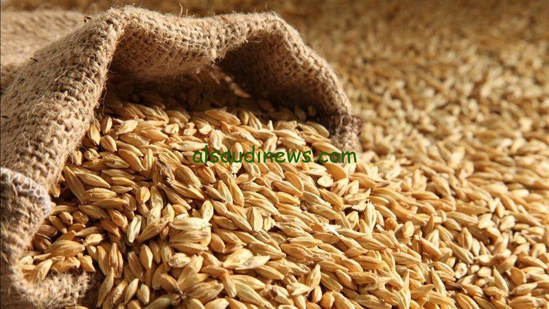 ” الحبة العريضة رخصت تاني “سعر طن الأرز الشعير اليوم الأربعاء 4 ديسمبر 2024 والسلع الغذائية الأساسية في الأسواق المصرية
