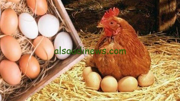 “البلدي بـ150ج” سعر كرتونة البيض للمستهلك اليوم الأحد 8/12/2024 في الأسواق حسب ما أعلنت بورصة الدواجن