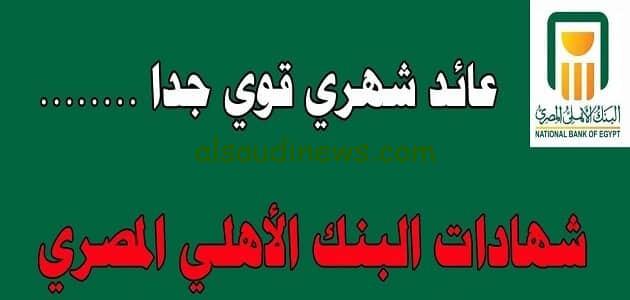 ما قيمة العوائد على شهادة ال 100 الف جنية ؟.. شهادات البنك الاهلى المصري الجديدة ذات العائد الشهرى المرتفع