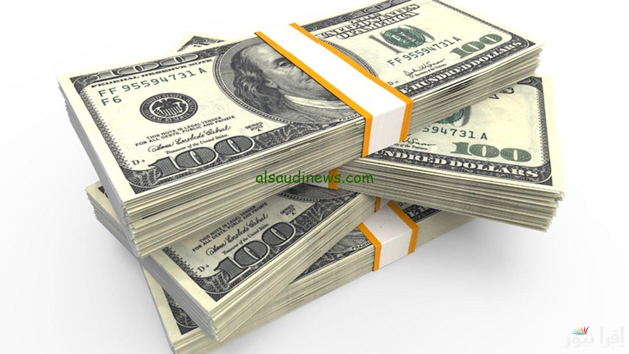 1000 دولار كم مصري في السوق السوداء؟ اليوم الثلاثاء 21 يناير 2025 | سعر الورقة الخضراء مقابل الجنية