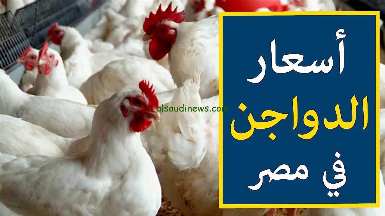 ” كيلو البانية وصل كام” أسعار الدواجن اليوم الثلاثاء 7 يناير 2025 داخل الأسواق الداجنة