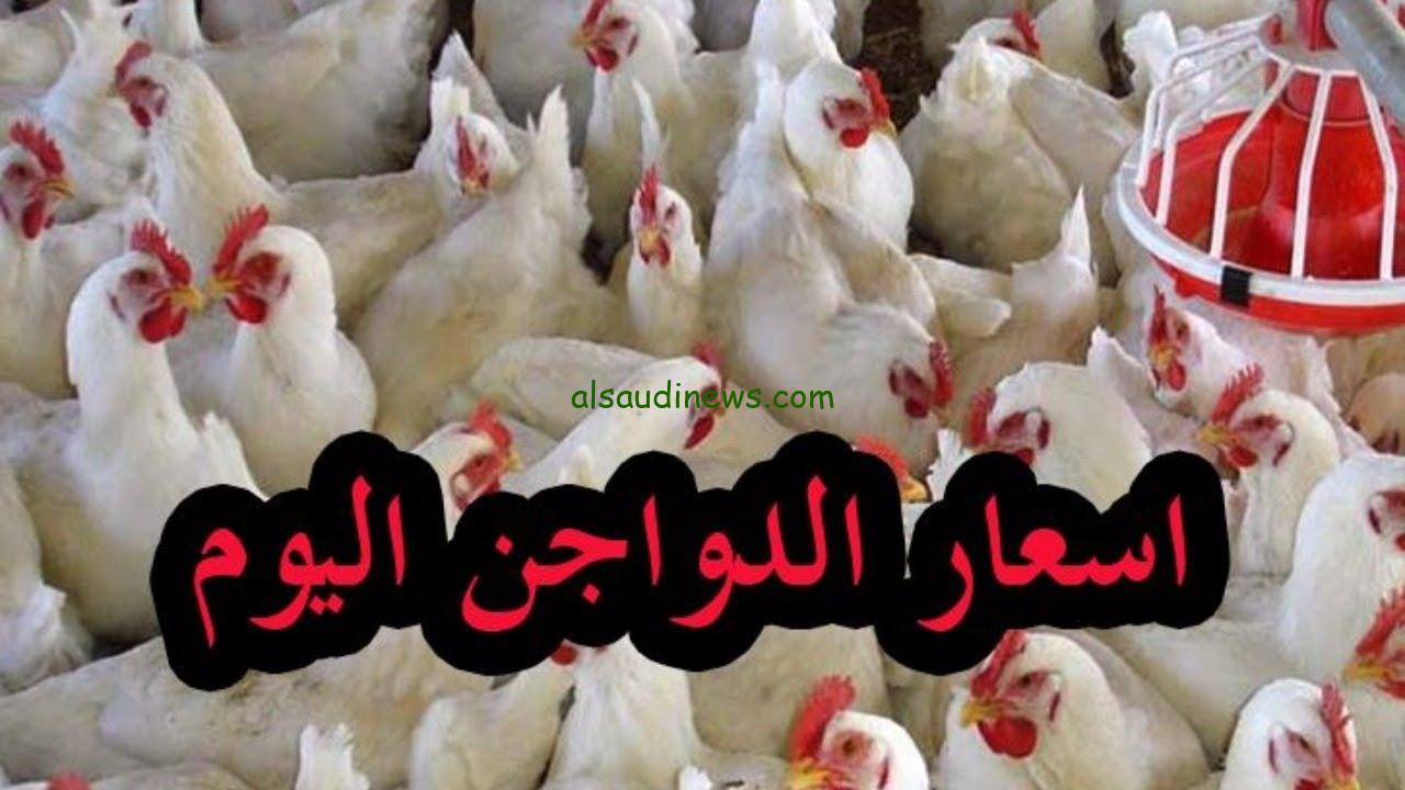 بورصة الدواجن اليوم أسعار الفراخ البيضاء اليوم السبت 18 يناير 2025 في الأسواق المحلية