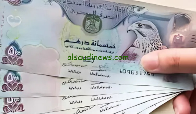 “الإماراتي مستقر”.. سعر الدرهم الاماراتي اليوم الاثنين 6 يناير 2025 مقابل الجنيه المصري وفي السوق السوداء