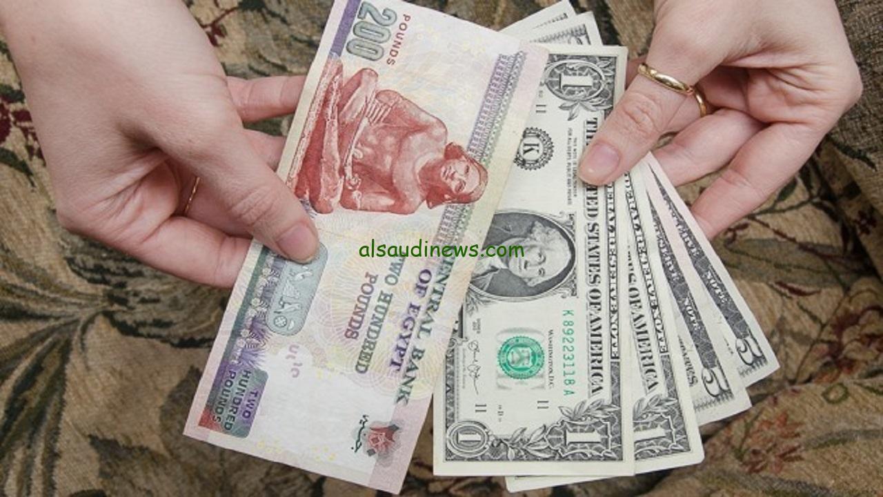 “الأخضر بكام”… سعر الدولار اليوم الثلاثاء 7يناير 2025 في البنوك المصرية والصرافة