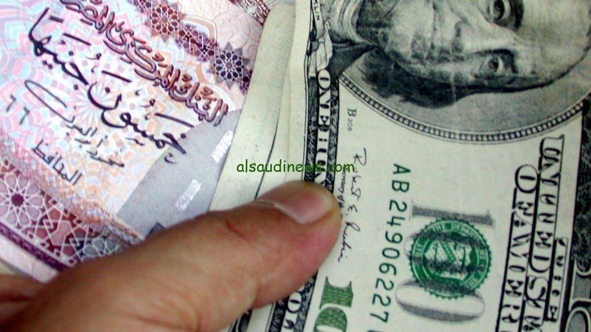 بكام النهاردة الاخضر فى السوق السوداء .. سعر الدولار اليوم مقابل الجنية 31 يناير 2025 فى كافة البنوك