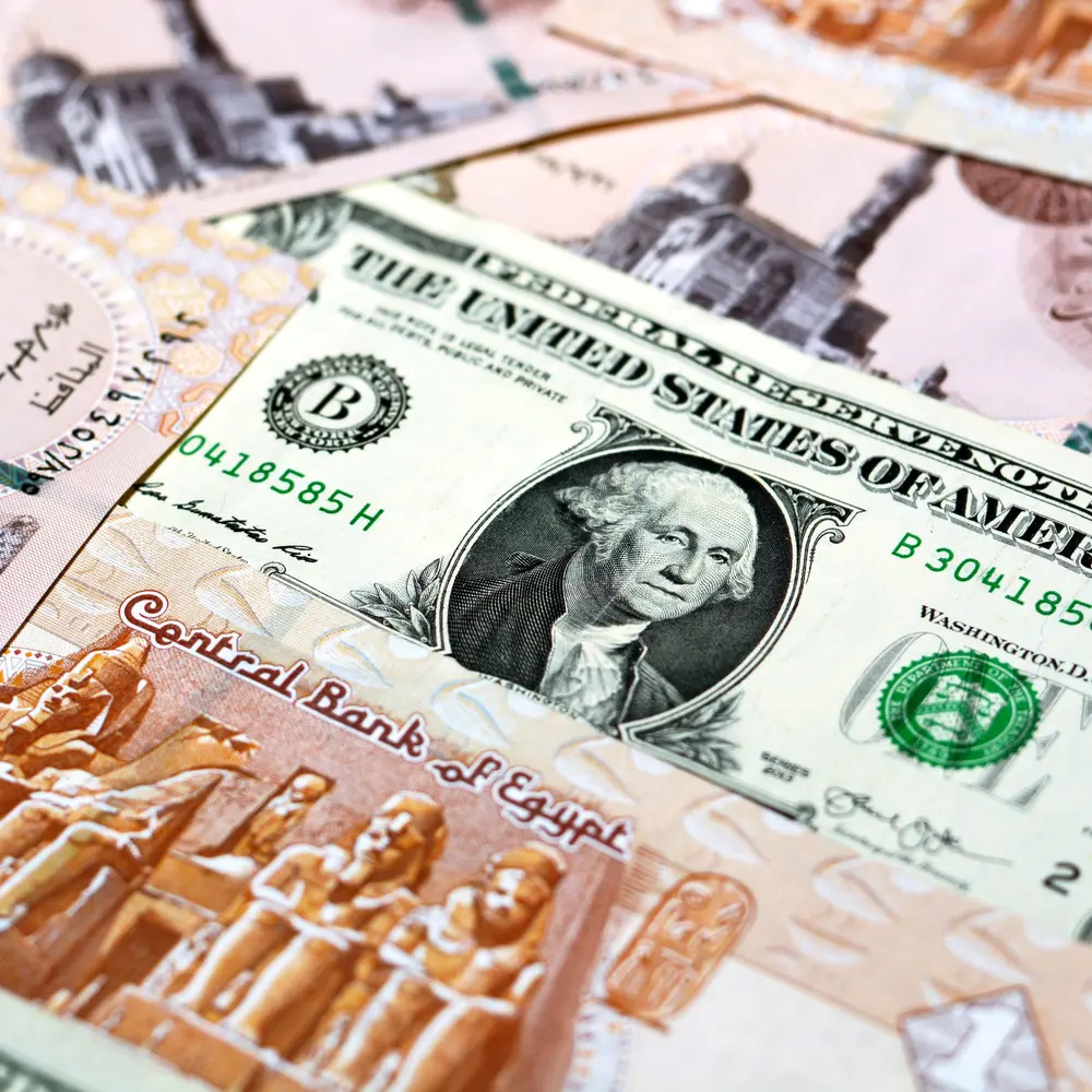 “الأخضر في النازل”… سعر الدولار اليوم مقابل الجنيه المصري الأحد 5 يناير 2025 في البنوك المختلفة