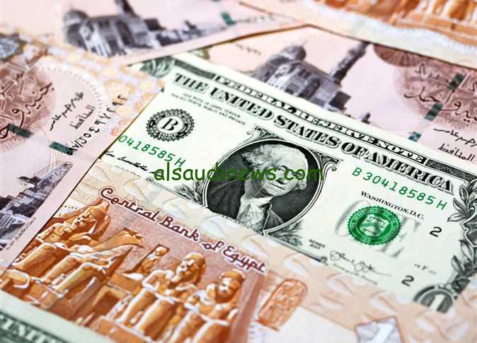 سعر الدولار في السوق السوداء اليوم السبت 25 يناير 2025 ومختلف البنوك