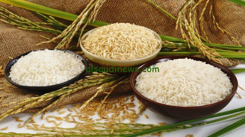 “العريضة والرفيعة بكام” سعر طن الأرز الشعير اليوم الاثنين 27 يناير 2025 في الأسواق المحلية