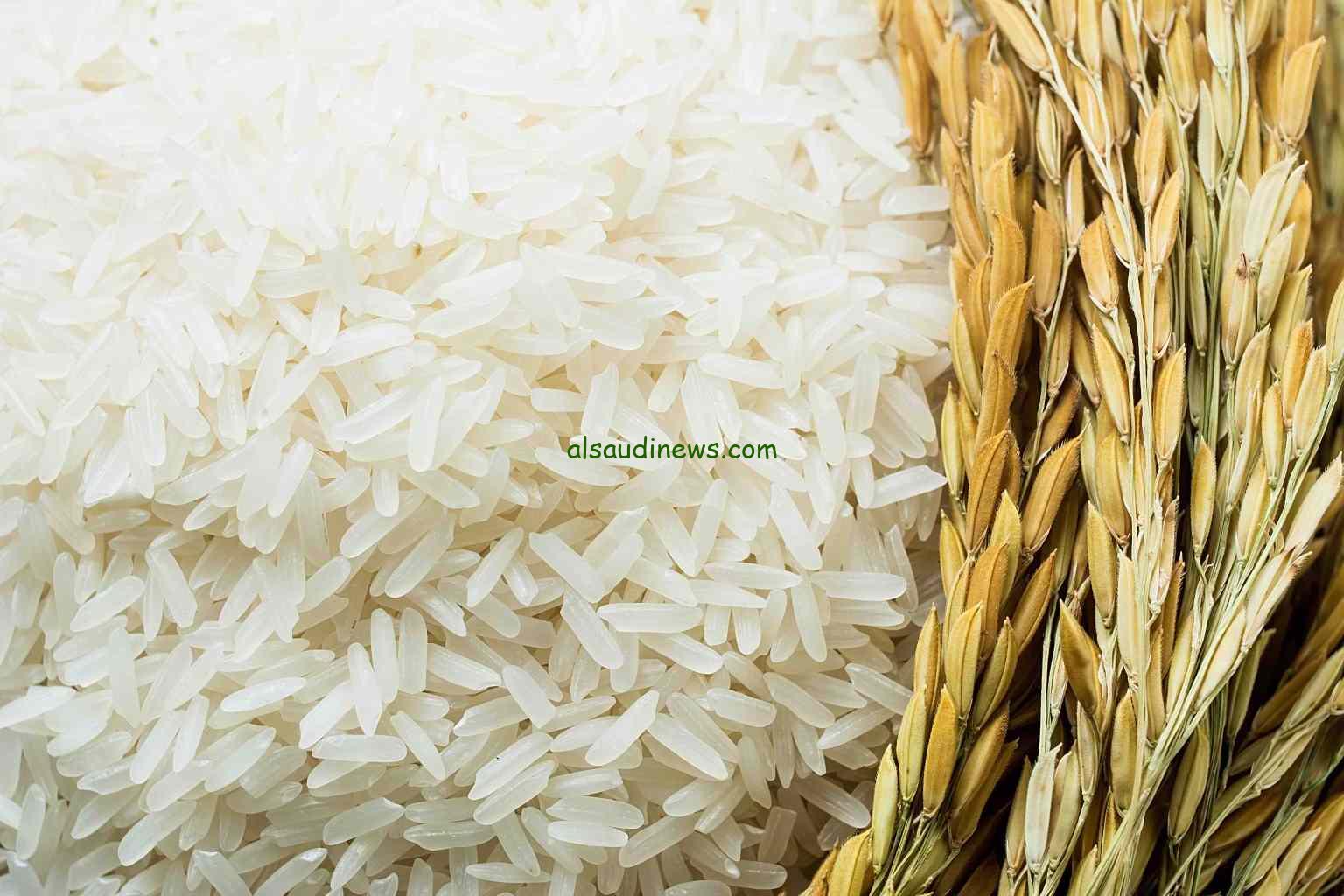 “الرز رخص خزن بسرعة” سعر طن الأرز الشعير اليوم السبت 11 يناير 2025 داخل الأسواق