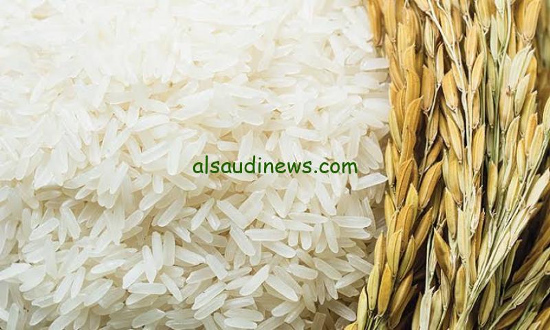 “عريض الحبة بكام”سعر طن الأرز الشعير اليوم الأحد 5 يناير 2025 في الأسواق المصرية