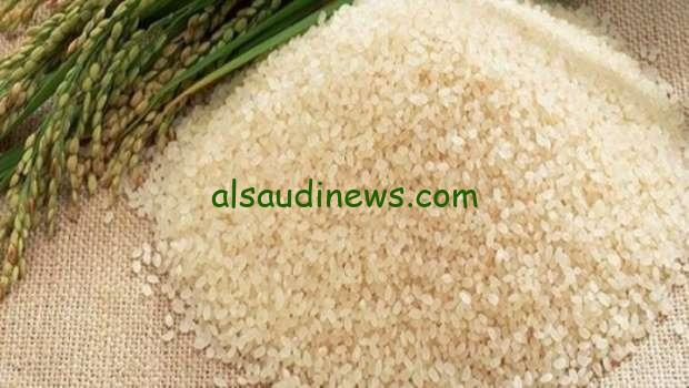 الطن وصل كام ؟.. سعر طن الارز الشعير اليوم الاربعاء 1 يناير 2025 وكم اسعار السلع الاساسية فى الأسواق المصرية